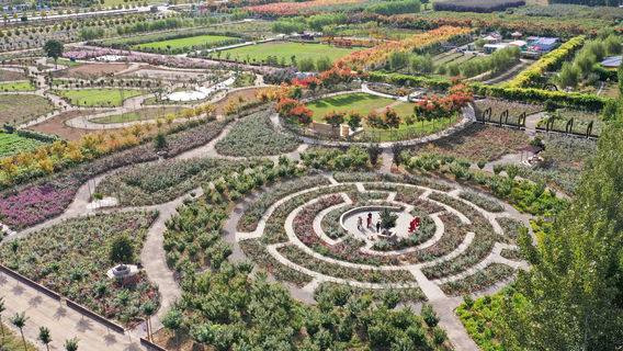 Xiangfen