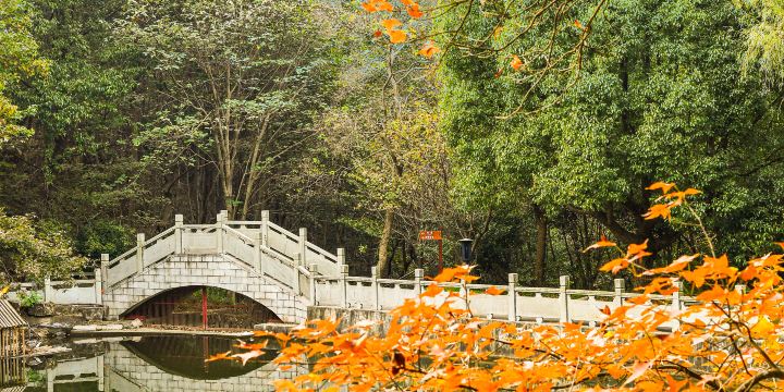 Guanyin Mountain Forest Park