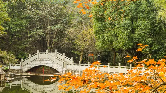 巣湖東庵森林公園