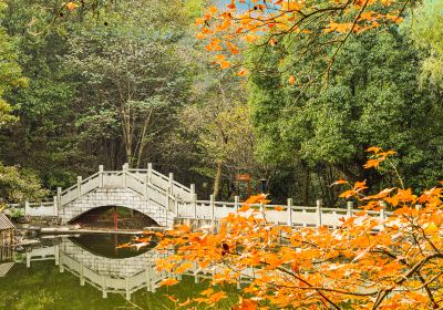 東庵森林公園