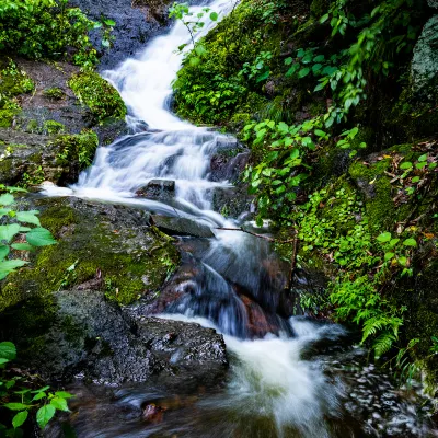 4-звездочные отели в г. Лишуй