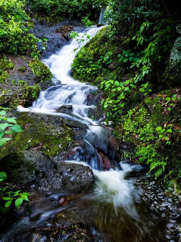 Lishui