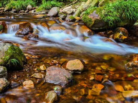 Xianren Brook