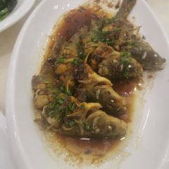 Xi Cheng Restaurant User Photo