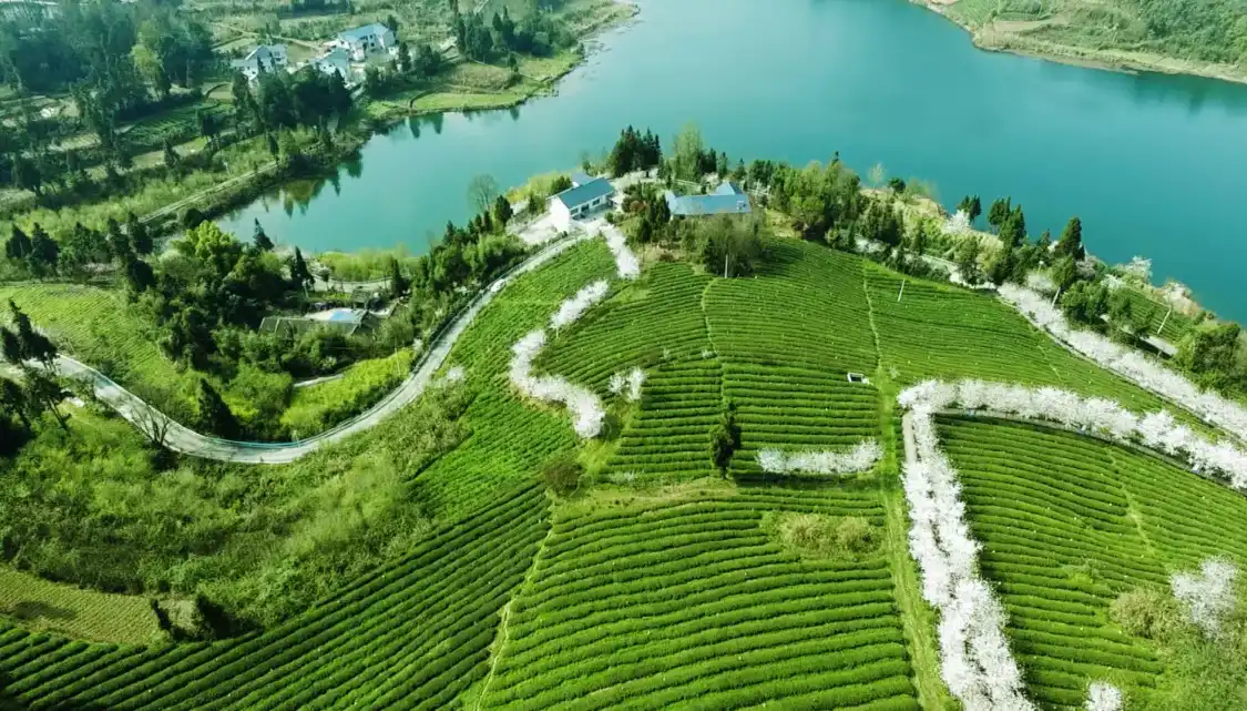 Hotels near Guizhou Feilonghu Langshuiwan Sceneic Area