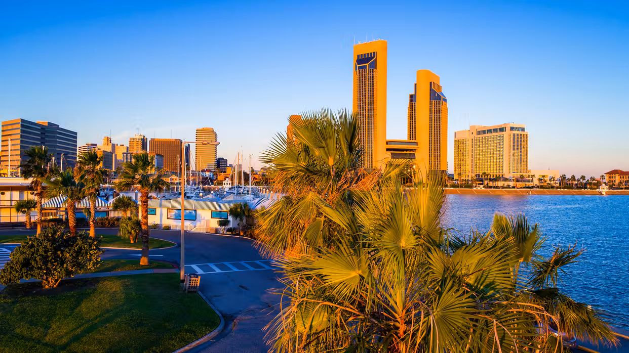 Vuelos ${{cityDName}} Alice