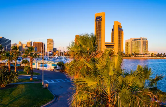 科珀斯克里斯蒂