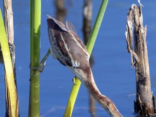 Hotels near Carnival Cruise PORT