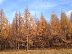ウランマウドゥ草原