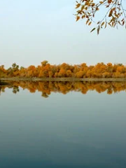亞西達西湖