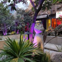 二十二楼川菜馆 User Photo