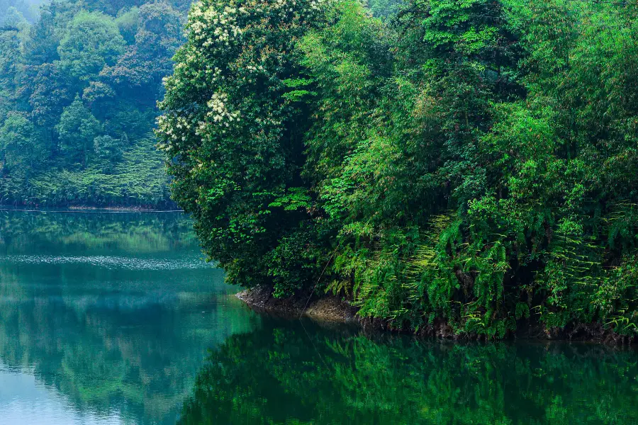 Qinglong Lake