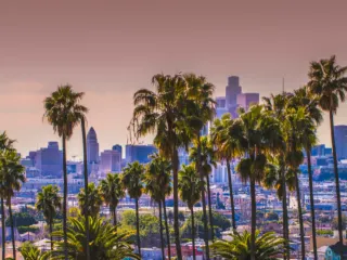The LA cityscape