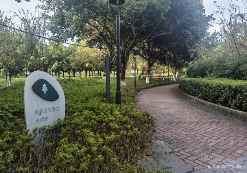 Tianfu Motorway Interchange Xiyou Park