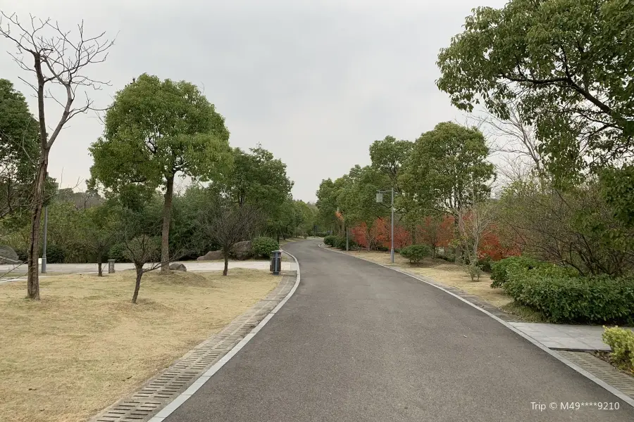 慈溪市森林公園