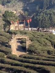 Royal Tea Garden Ruins