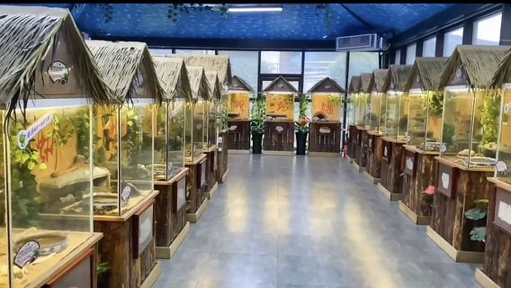 Reptile House, Bijia Mountain