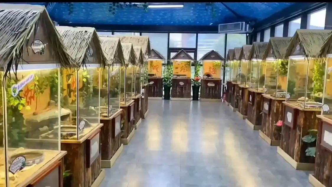 Hotels near Reptile House, Bijia Mountain