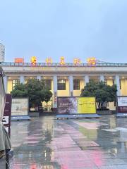 Guizhou Art Museum