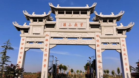 Ziwei Town · Flower Sea