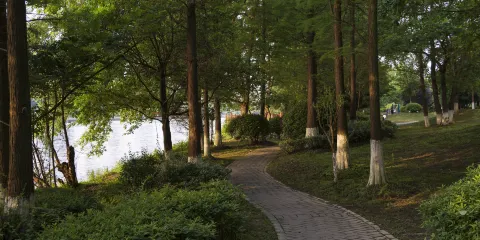 濱河公園（龍潮路）
