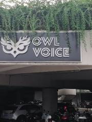 Owl Voice貓頭鷹空間