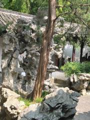 Ancient Five Pines Garden