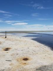 Salar de uyuni