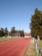Athletics Track Monte Dorrego