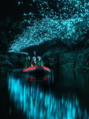 Spellbound Glowworm and Cave Tour