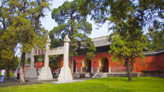 Tế Ninh