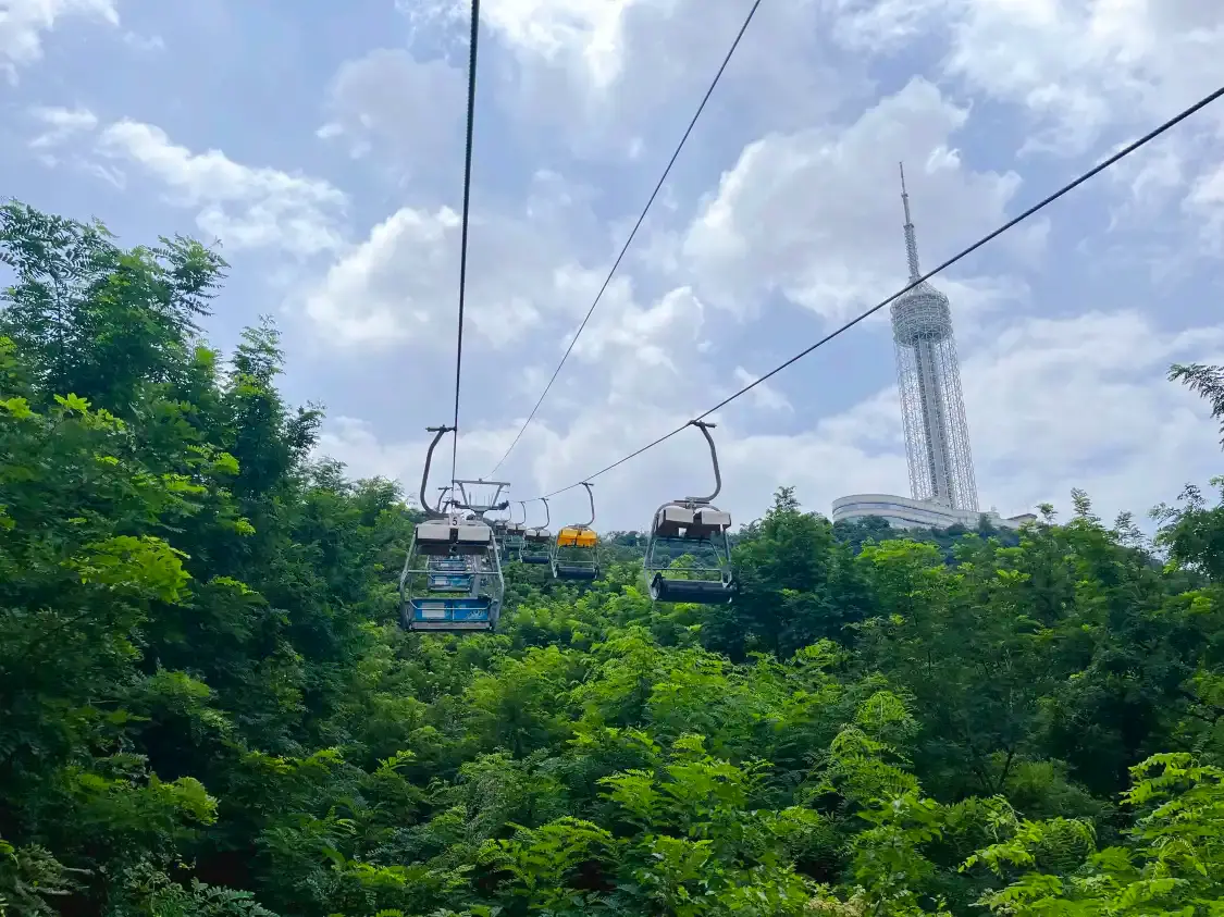 Hotels near Foster Slide