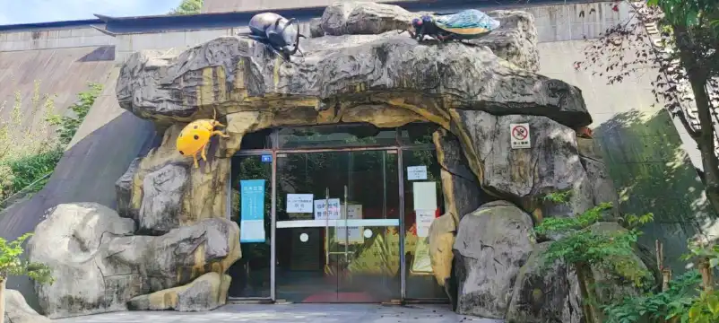 โรงแรมใกล้พิพิธภัณฑ์แมลงหว้าช