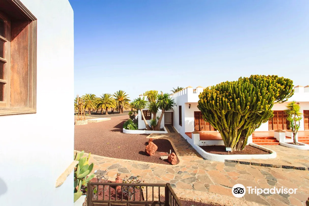 3_Museo del Queso Majorero