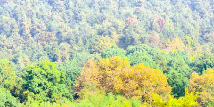 鳳凰山國家森林公園