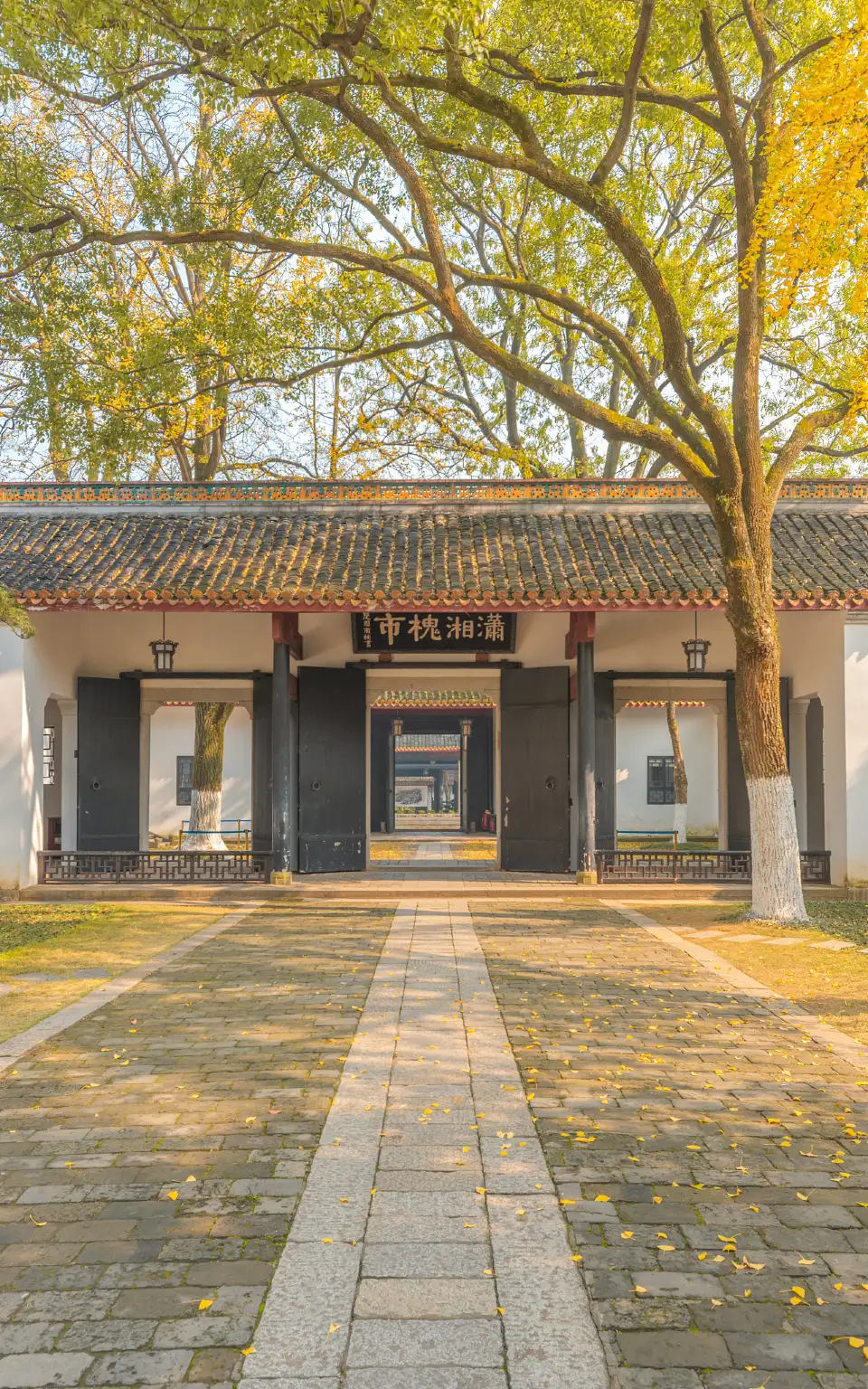 2_Yuelu Academy
