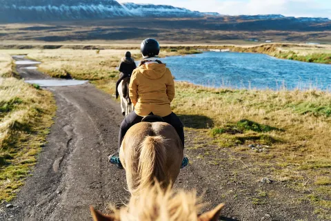 Horseback riding in Reykjavik