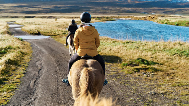 Horseback Riding in Reykjavik