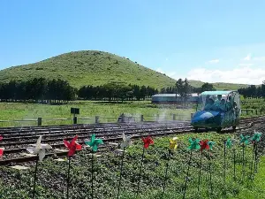 Jeju Rail Bike
