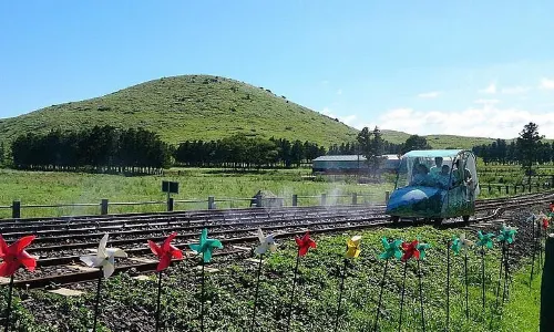 Jeju Rail Bike