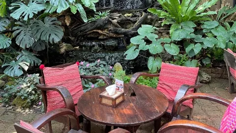 Fern Forest Cafe in Chiang Mai