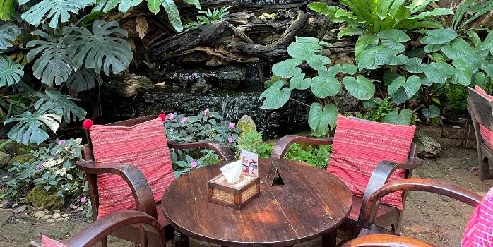 Fern Forest Café
