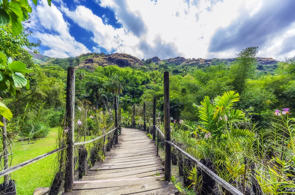 Garden of the Sleeping Giant