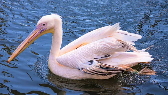 ARTIS Amsterdam Royal Zoo