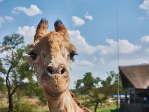 Johannesburg Zoo