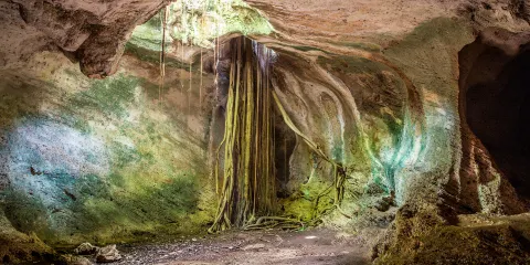 安布羅西澳洞穴