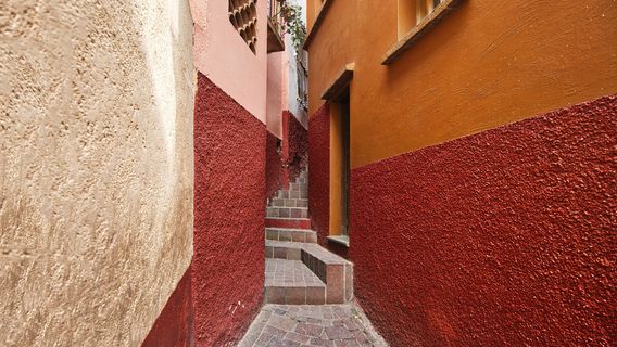 The Alley of The Kiss