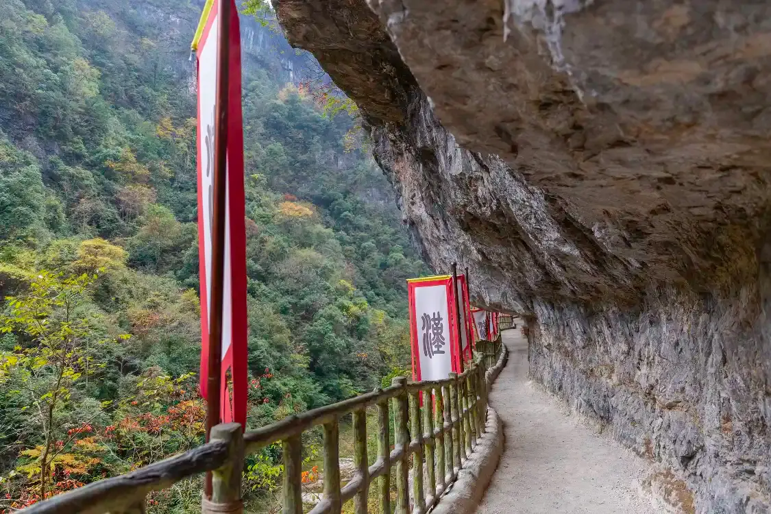 Hotels near Micang Mountain Ancient Plank Road