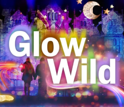 lights and lantern installations at Glow Wild | Haywards Heath
