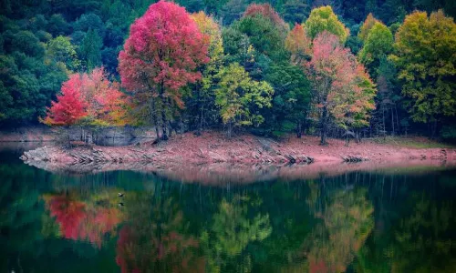Red Valley Scenic Area